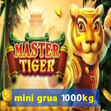 mini grua 1000kg